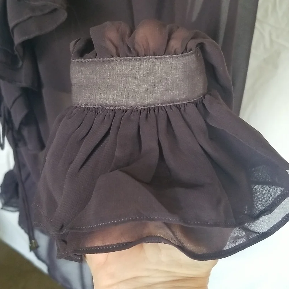 Sheer Ruffle Tie-Neck Blouse - Picture 2 of 9